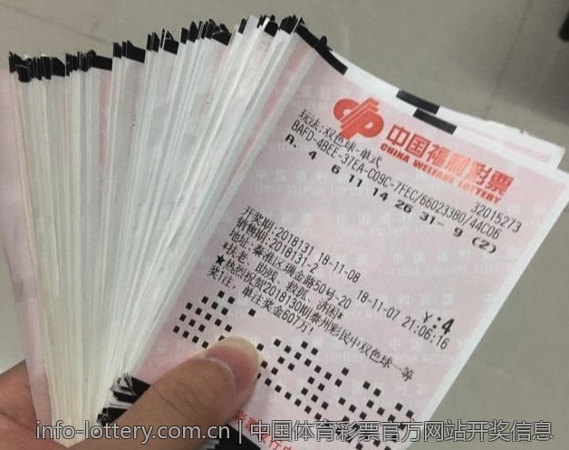 中国体育彩票官方网站开奖信息